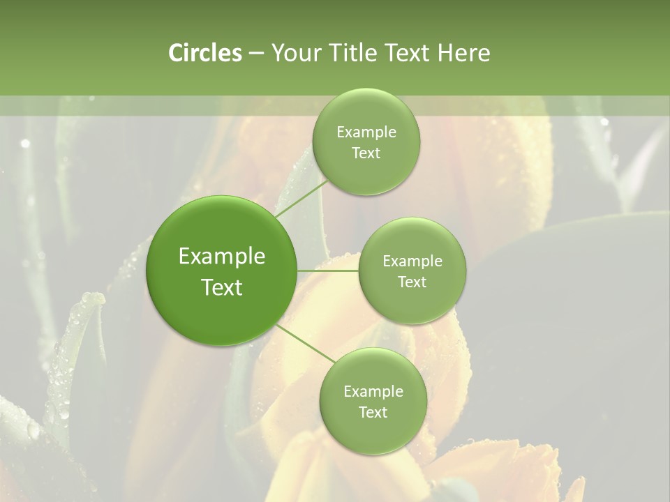 Conference Li Ten Bu Ine PowerPoint Template