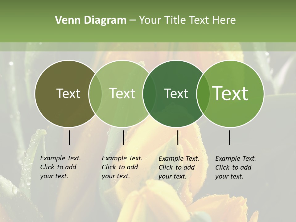 Conference Li Ten Bu Ine PowerPoint Template