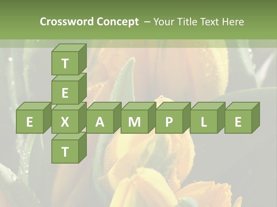Conference Li Ten Bu Ine PowerPoint Template