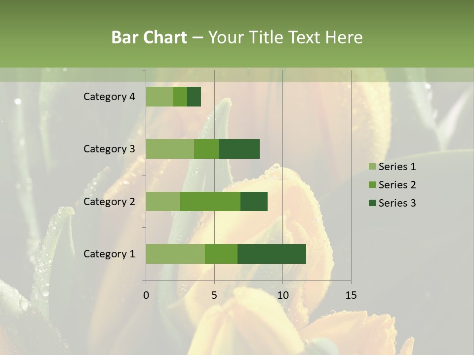 Conference Li Ten Bu Ine PowerPoint Template