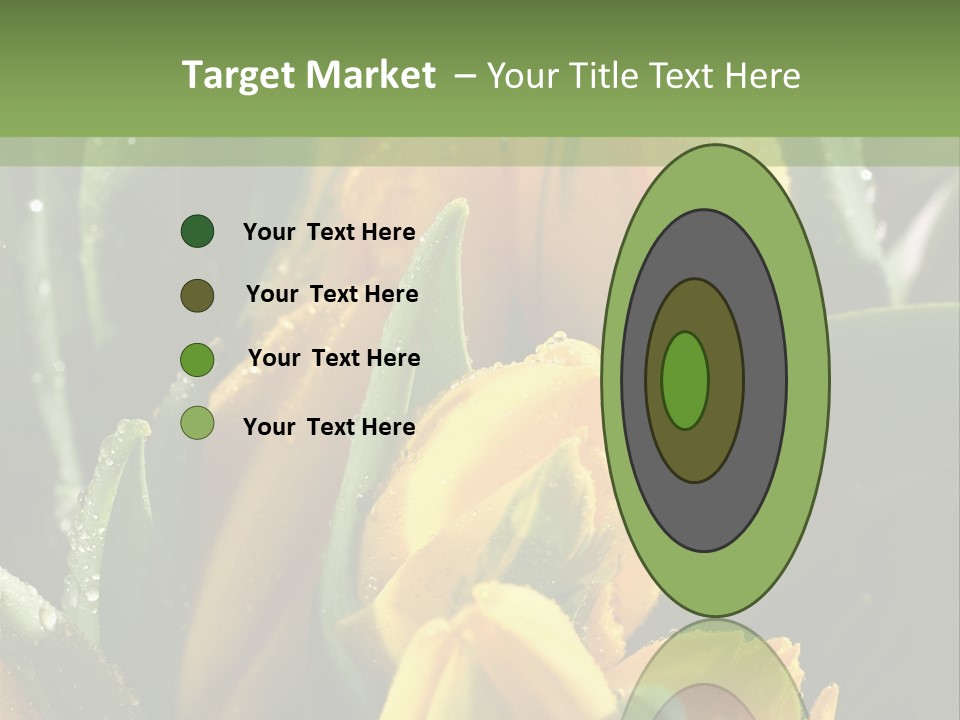 Conference Li Ten Bu Ine PowerPoint Template