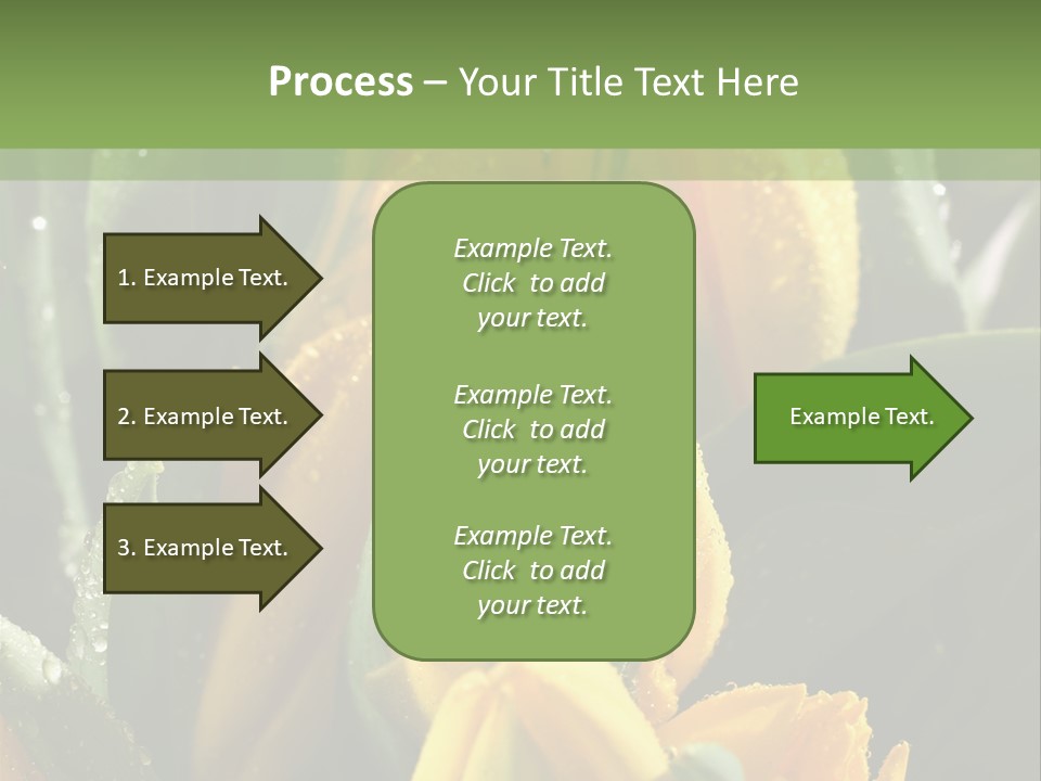 Conference Li Ten Bu Ine PowerPoint Template