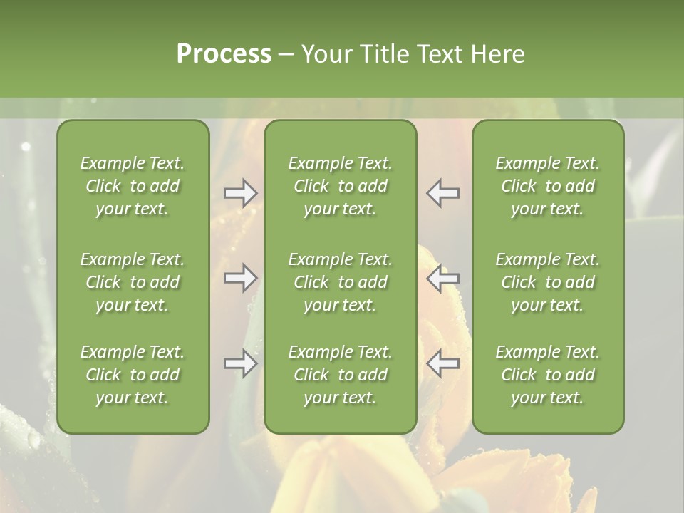 Conference Li Ten Bu Ine PowerPoint Template