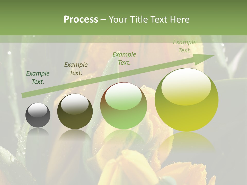 Conference Li Ten Bu Ine PowerPoint Template