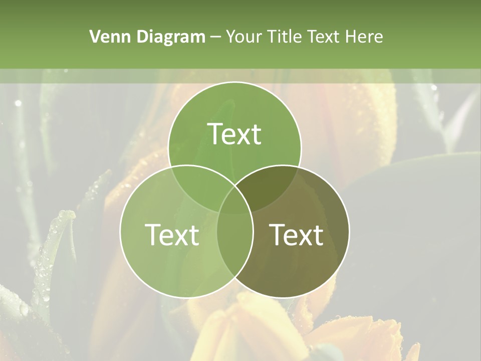 Conference Li Ten Bu Ine PowerPoint Template