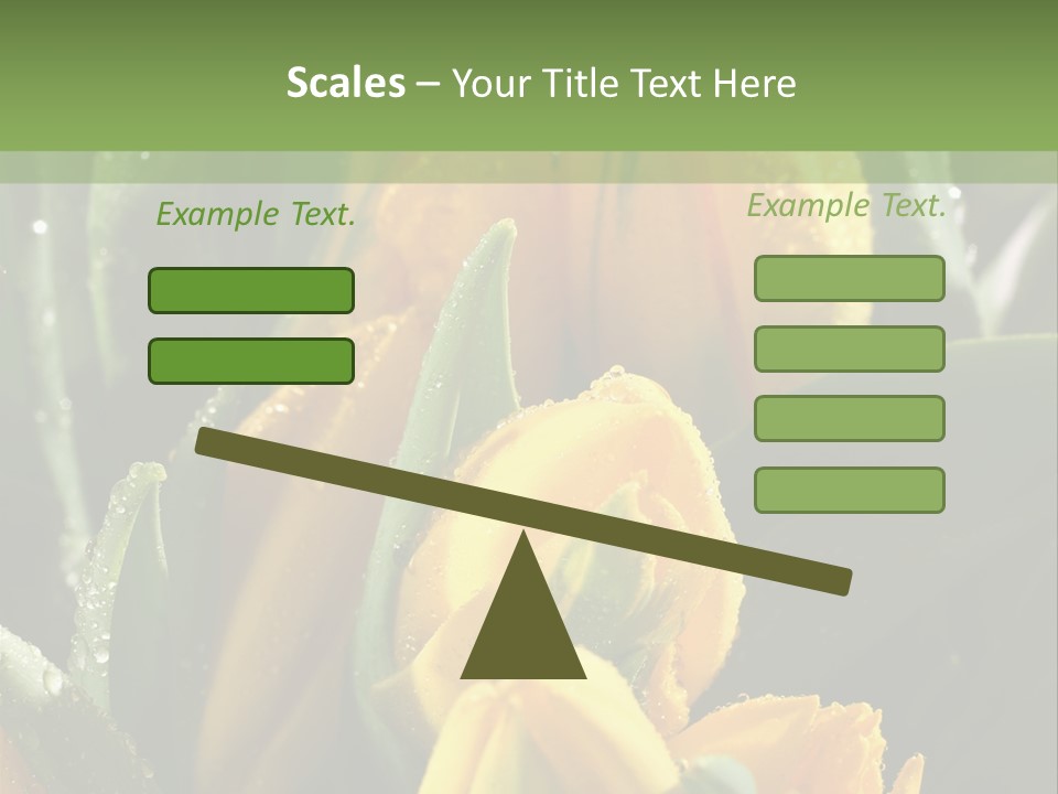 Conference Li Ten Bu Ine PowerPoint Template