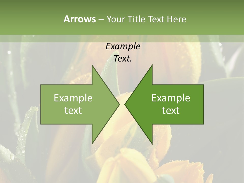 Conference Li Ten Bu Ine PowerPoint Template
