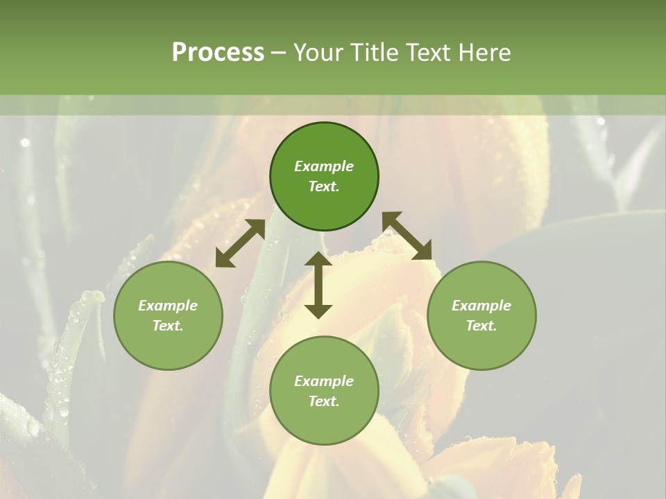 Conference Li Ten Bu Ine PowerPoint Template