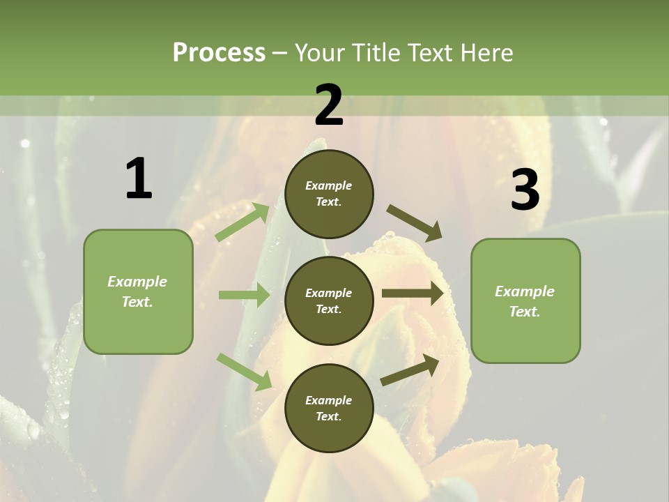 Conference Li Ten Bu Ine PowerPoint Template