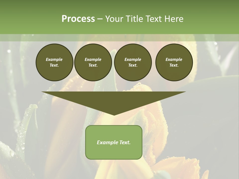 Conference Li Ten Bu Ine PowerPoint Template