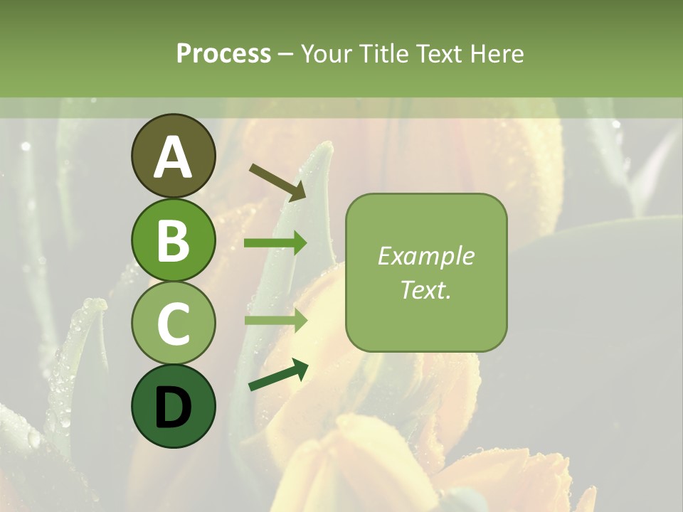 Conference Li Ten Bu Ine PowerPoint Template