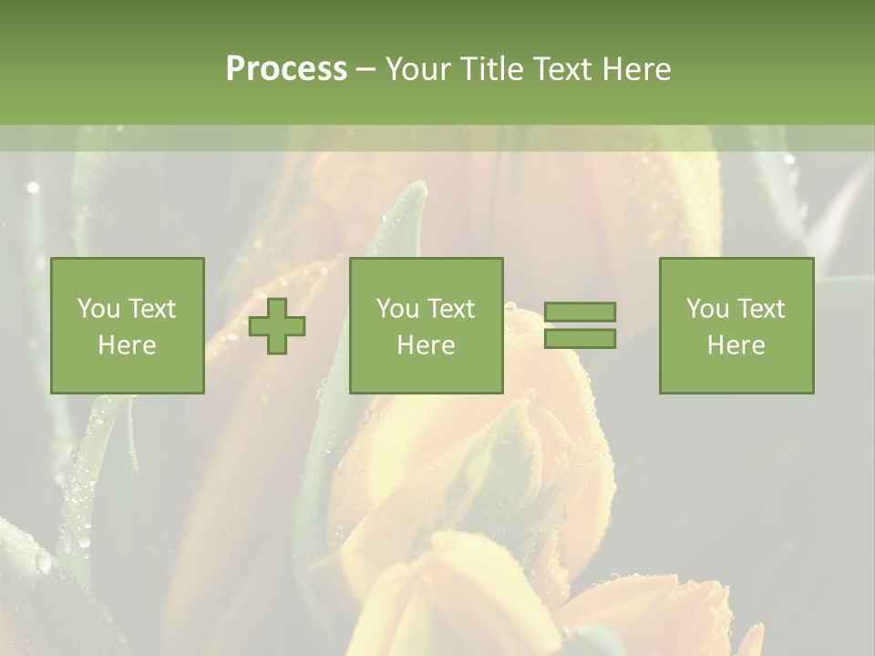 Conference Li Ten Bu Ine PowerPoint Template