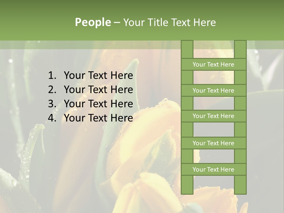 Conference Li Ten Bu Ine PowerPoint Template