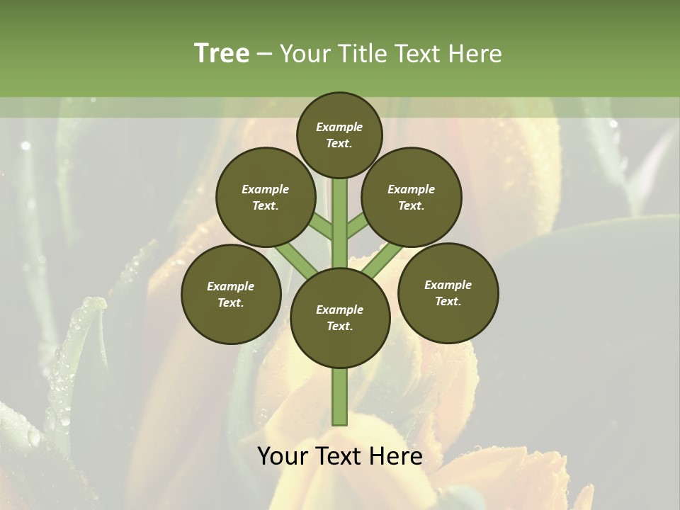 Conference Li Ten Bu Ine PowerPoint Template