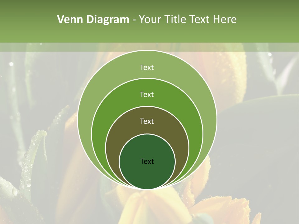 Conference Li Ten Bu Ine PowerPoint Template