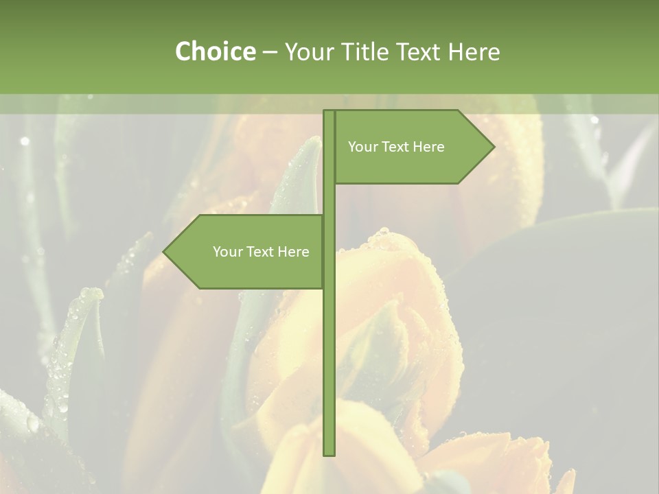 Conference Li Ten Bu Ine PowerPoint Template