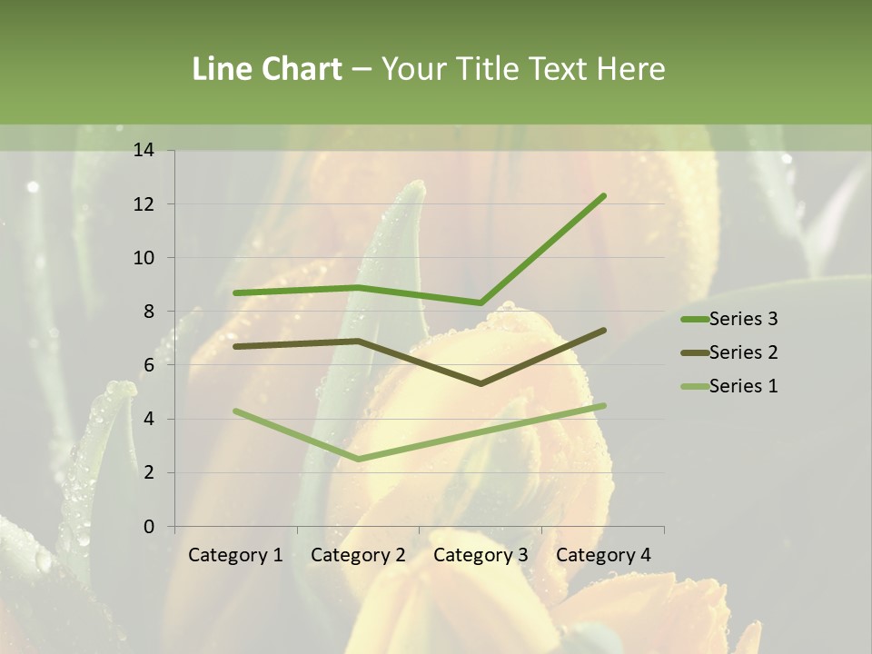 Conference Li Ten Bu Ine PowerPoint Template