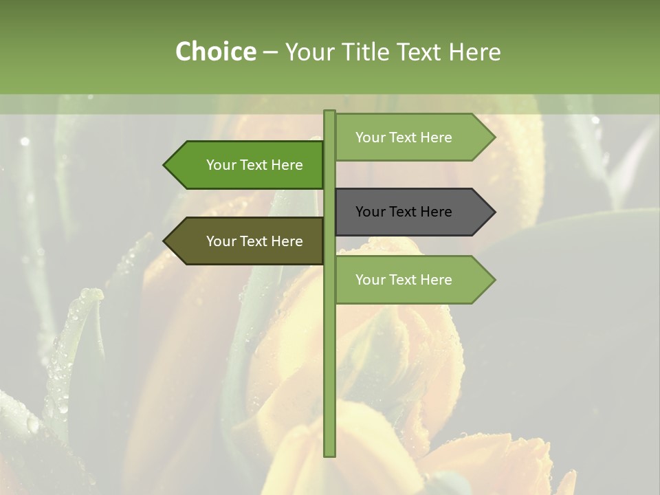 Conference Li Ten Bu Ine PowerPoint Template