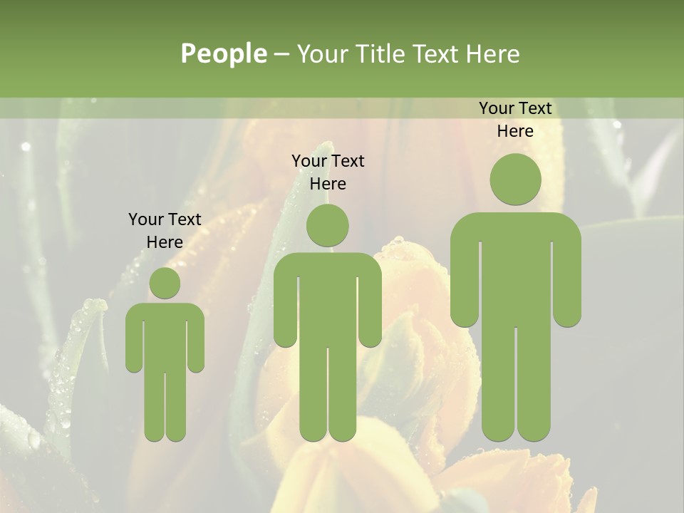 Conference Li Ten Bu Ine PowerPoint Template