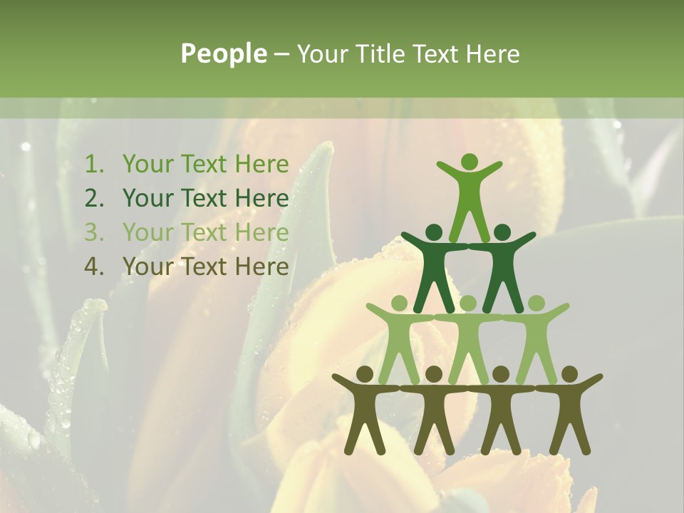 Conference Li Ten Bu Ine PowerPoint Template