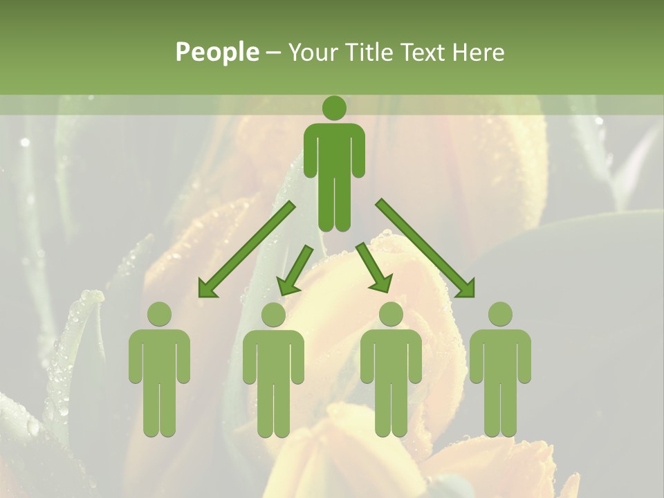 Conference Li Ten Bu Ine PowerPoint Template