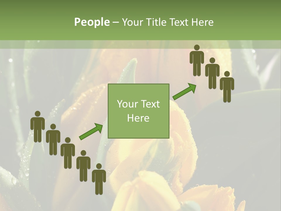 Conference Li Ten Bu Ine PowerPoint Template