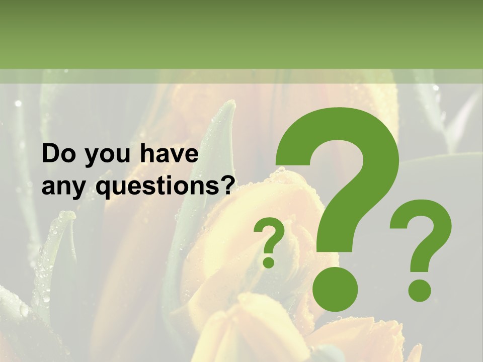 Conference Li Ten Bu Ine PowerPoint Template