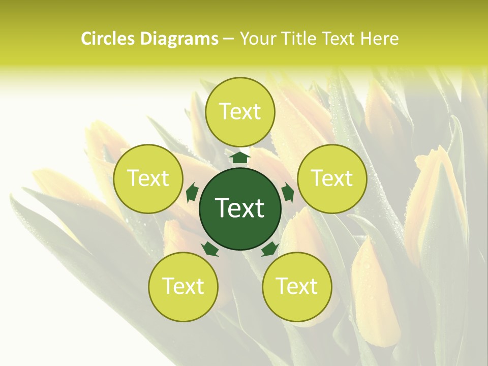 Group Teamwork Humorou PowerPoint Template