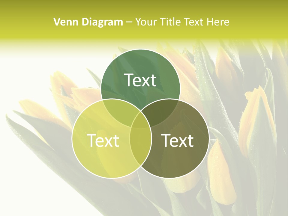 Group Teamwork Humorou PowerPoint Template