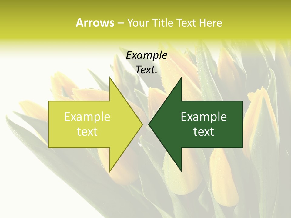 Group Teamwork Humorou PowerPoint Template