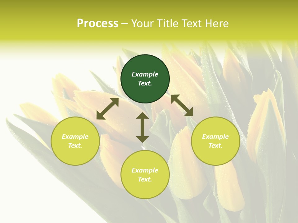 Group Teamwork Humorou PowerPoint Template