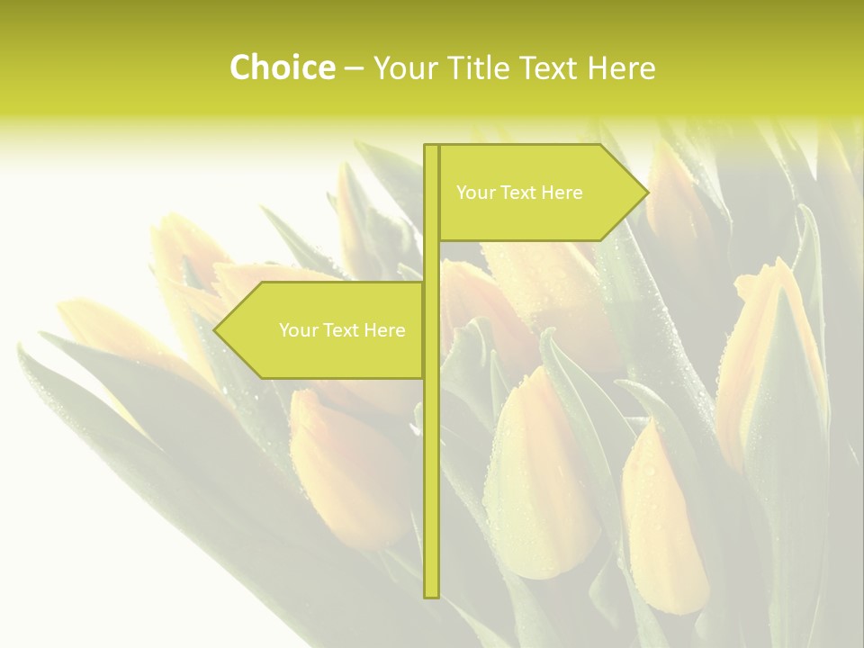 Group Teamwork Humorou PowerPoint Template