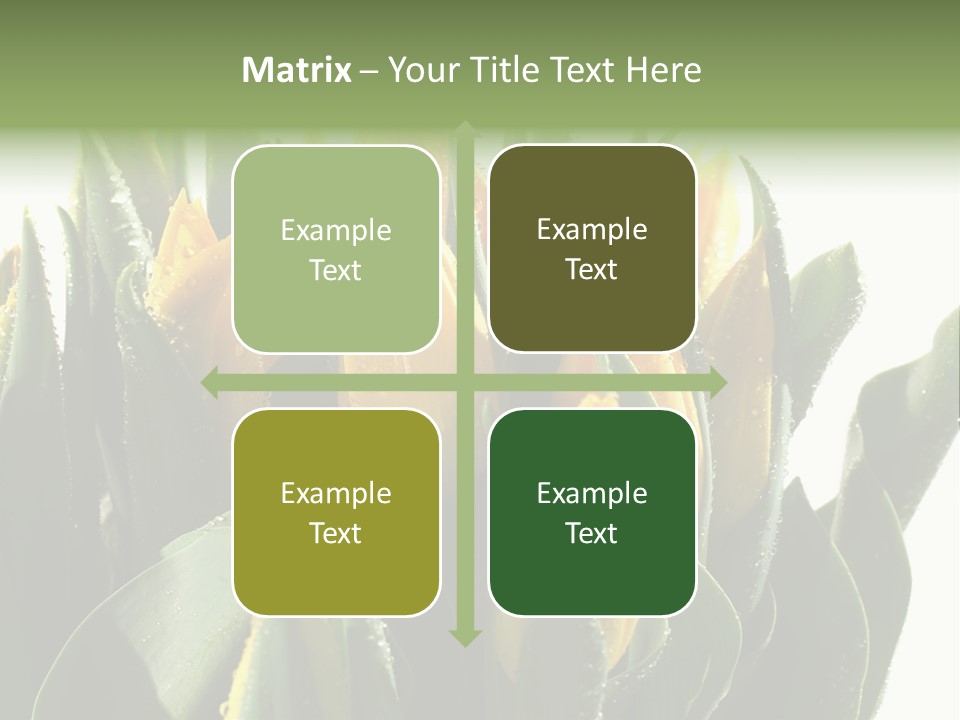 Team Toon Group PowerPoint Template