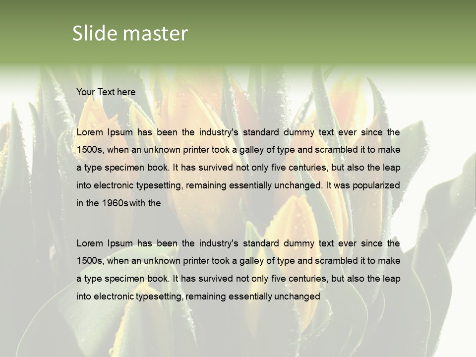 Team Toon Group PowerPoint Template