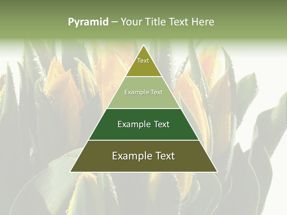 Team Toon Group PowerPoint Template