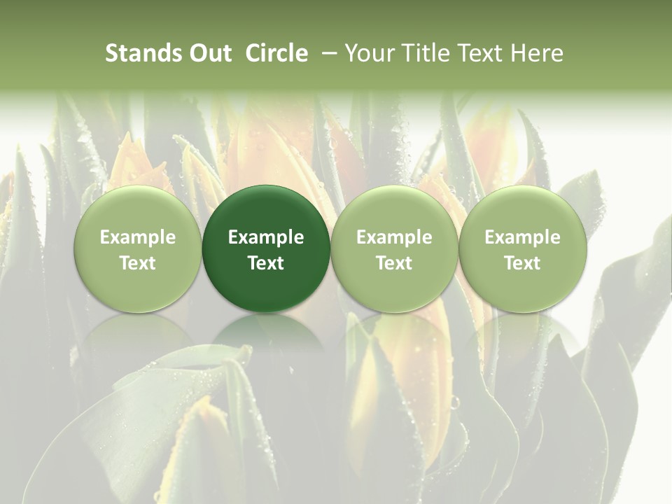 Team Toon Group PowerPoint Template