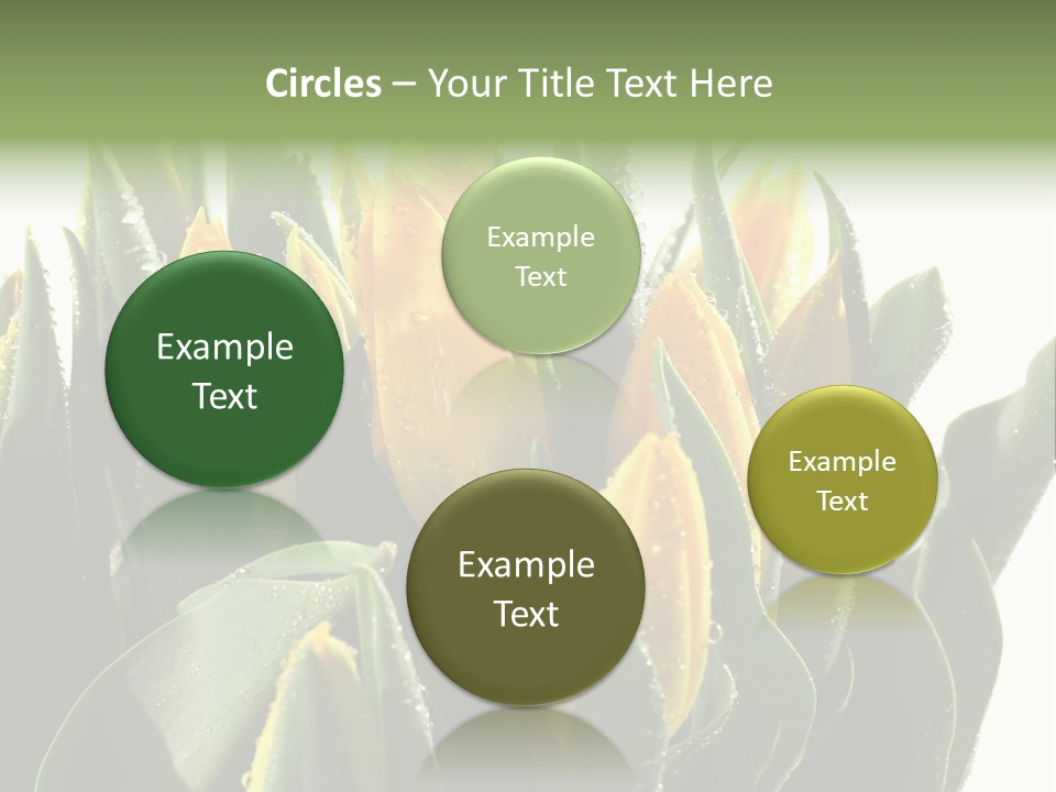 Team Toon Group PowerPoint Template