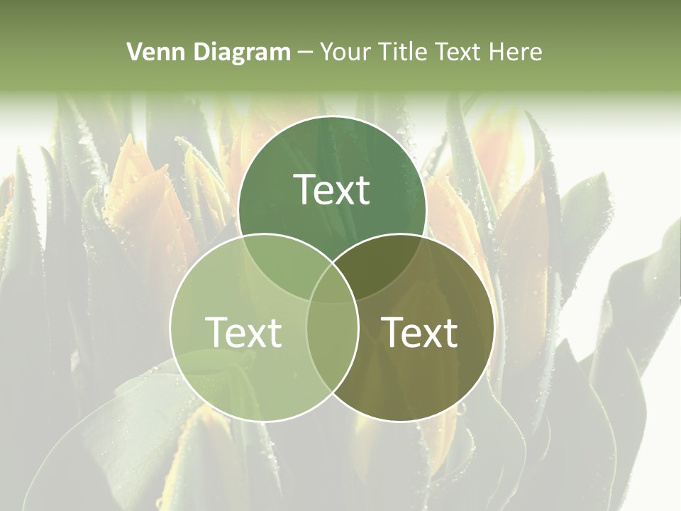 Team Toon Group PowerPoint Template