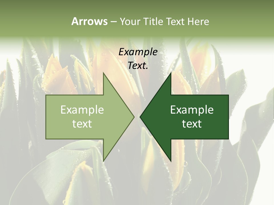 Team Toon Group PowerPoint Template