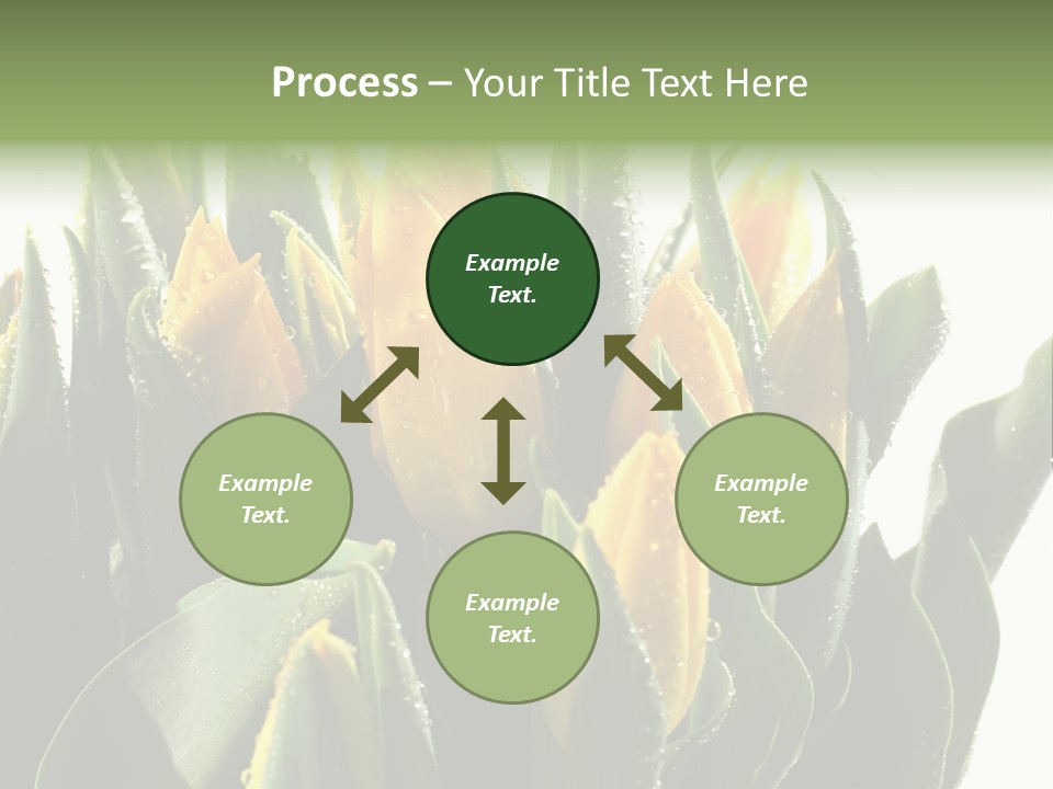 Team Toon Group PowerPoint Template