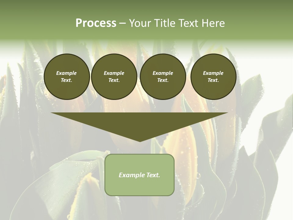 Team Toon Group PowerPoint Template