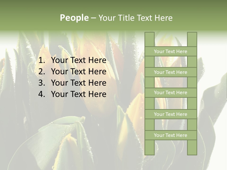 Team Toon Group PowerPoint Template