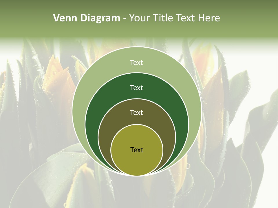 Team Toon Group PowerPoint Template