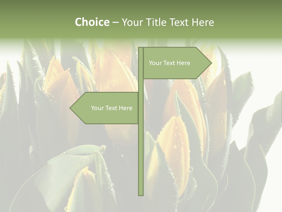 Team Toon Group PowerPoint Template