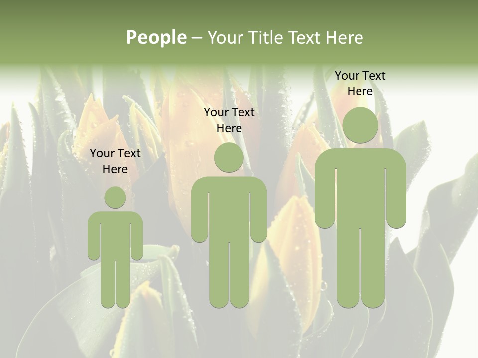 Team Toon Group PowerPoint Template