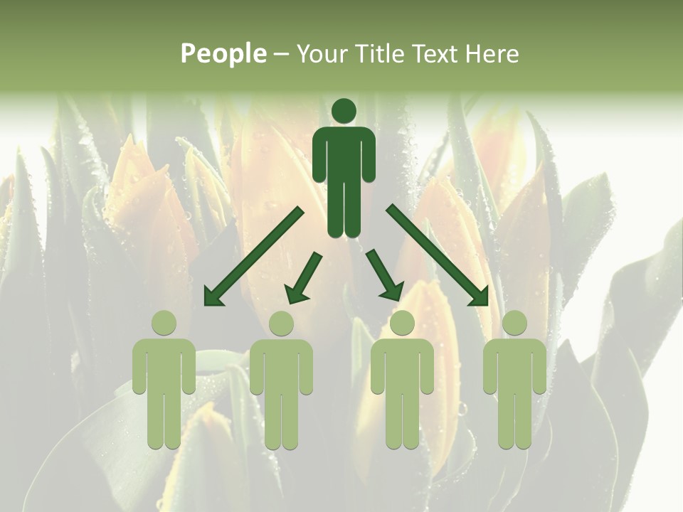 Team Toon Group PowerPoint Template