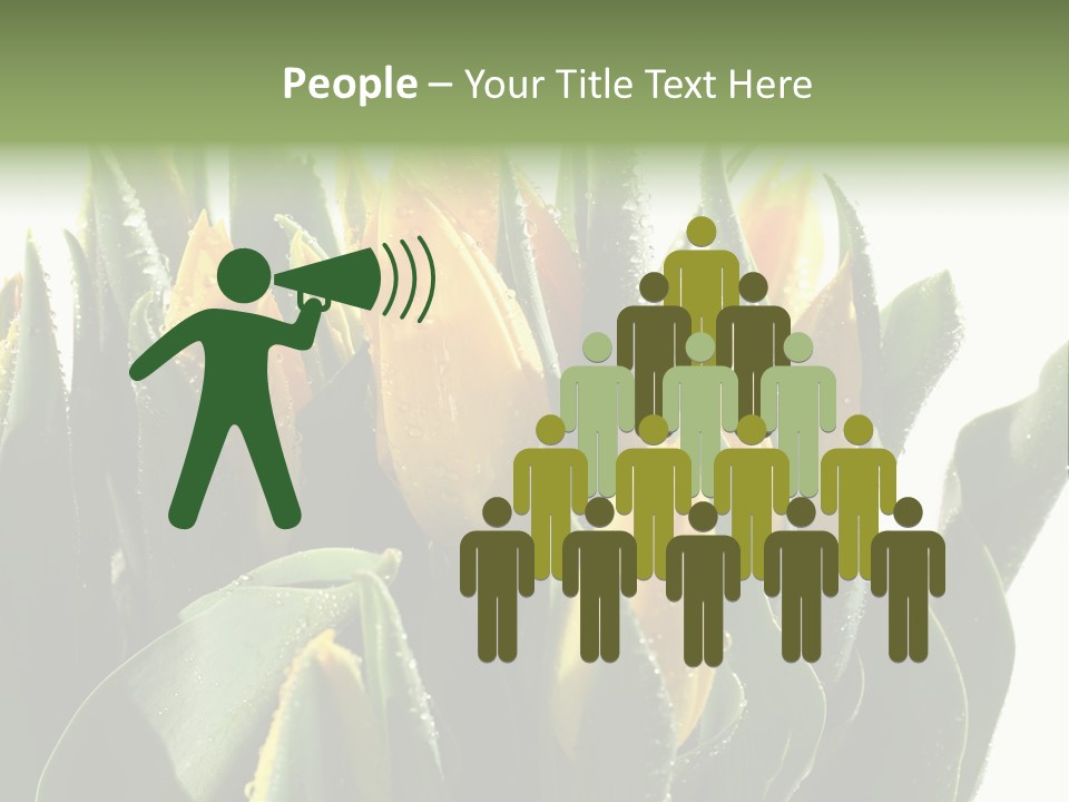 Team Toon Group PowerPoint Template