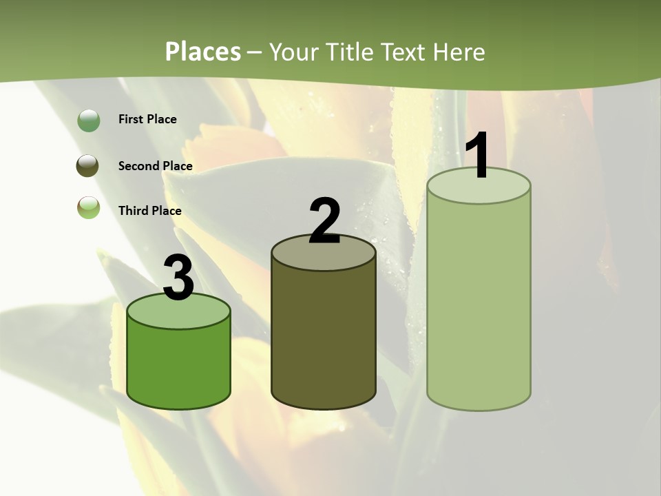 Trategy Di Cu Ion Writing PowerPoint Template