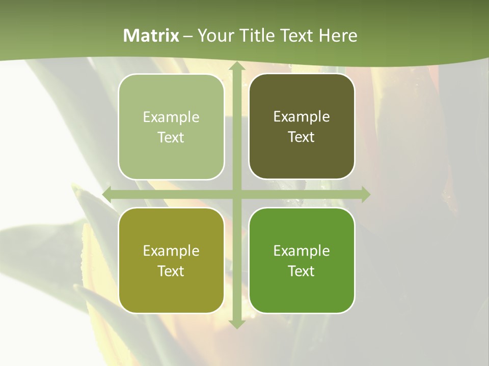 Trategy Di Cu Ion Writing PowerPoint Template