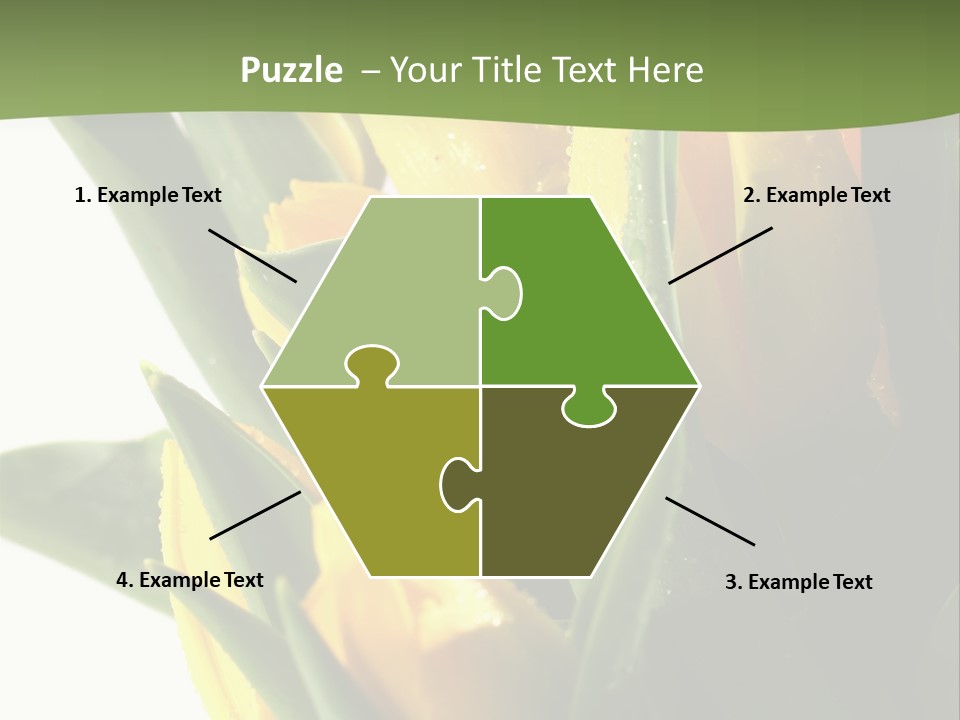 Trategy Di Cu Ion Writing PowerPoint Template